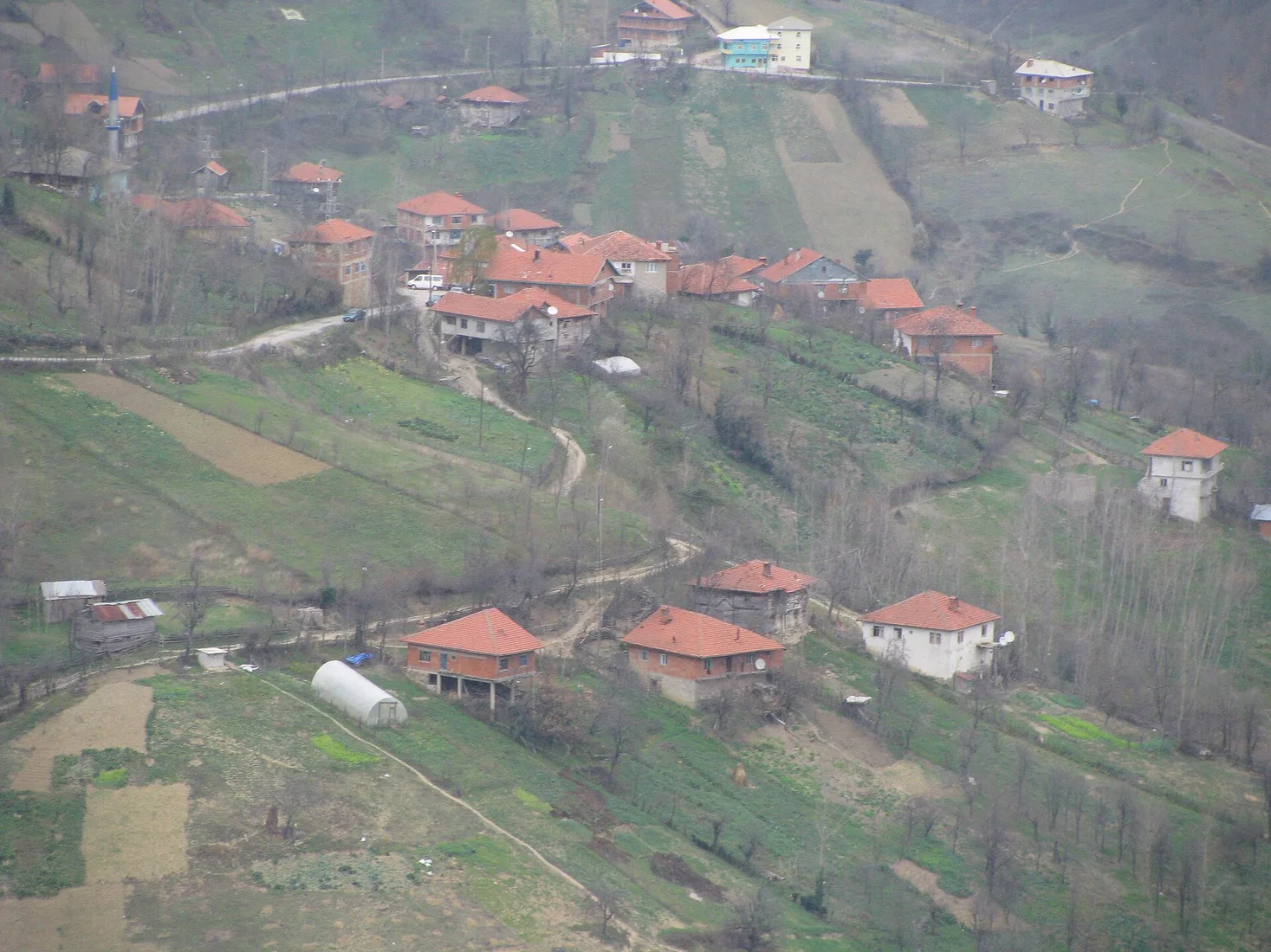 Merkez