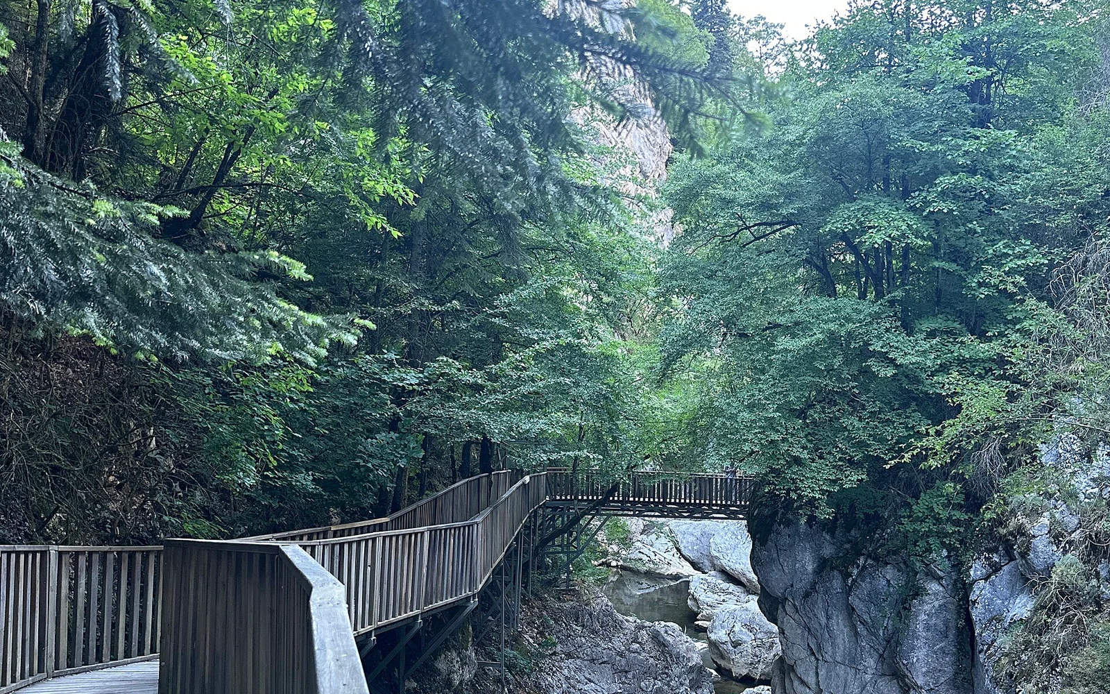 Ulus Doğa Festivali